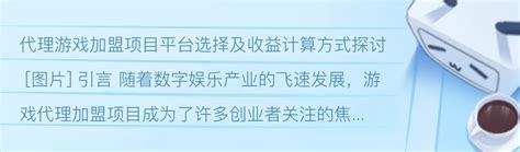 游戏币加盟代理的全流程指南与投资管理策略